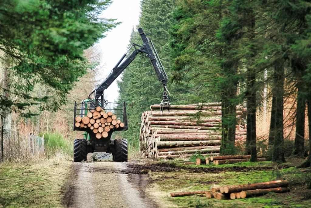 logging-equipment-stacking-cut-trees